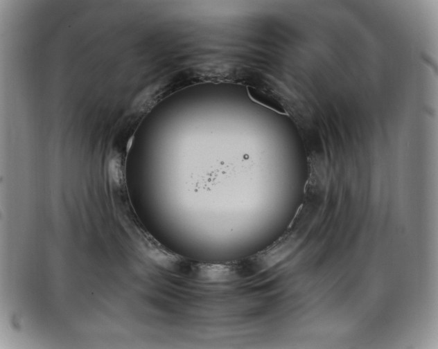 X0000099230287200804241459