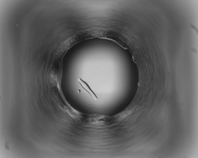 X0000099230288200804241459