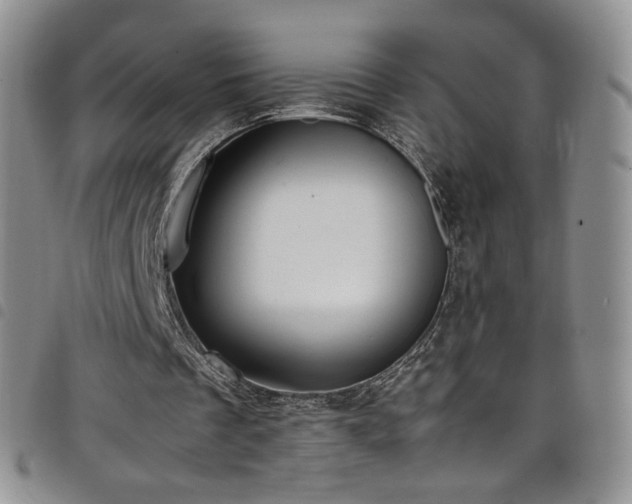 X0000099230289200804241458