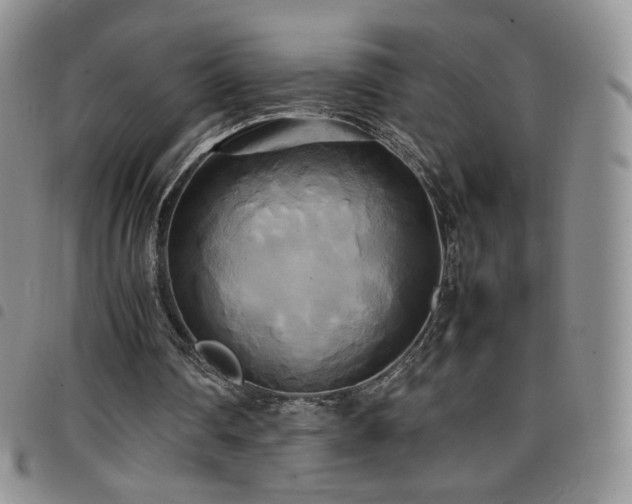 X0000099230290200804241458