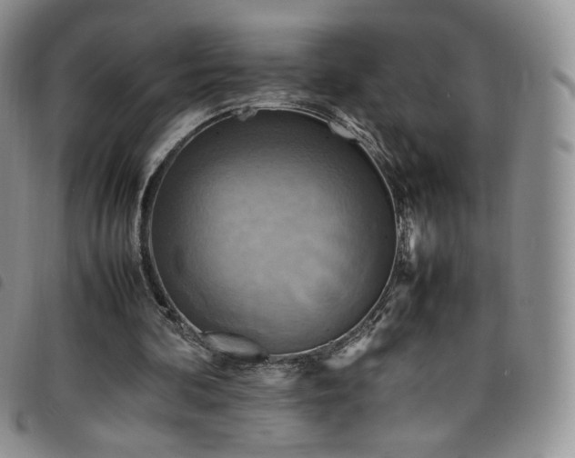 X0000099230292200804241458