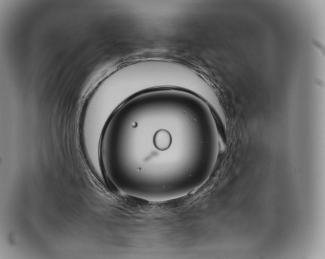 X0000099230293200804241458