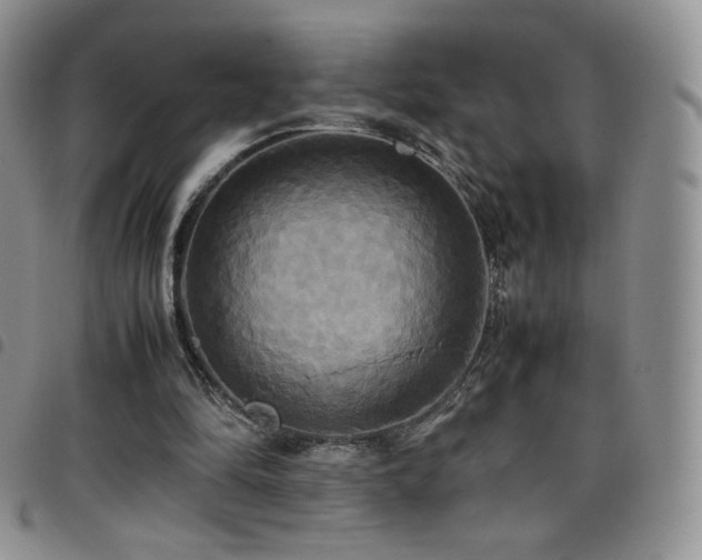 X0000099230294200804241458