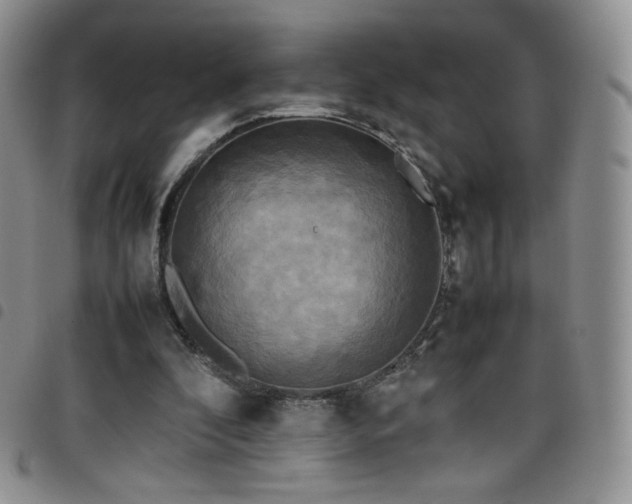 X0000099230296200804241458