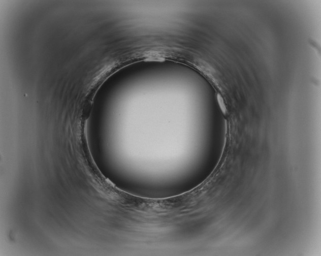 X0000099230297200804241458