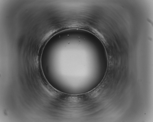 X0000099230298200804241458