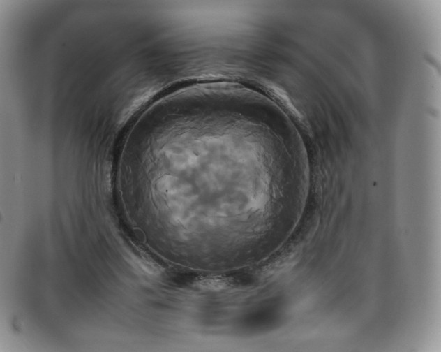 X0000099230299200804241458