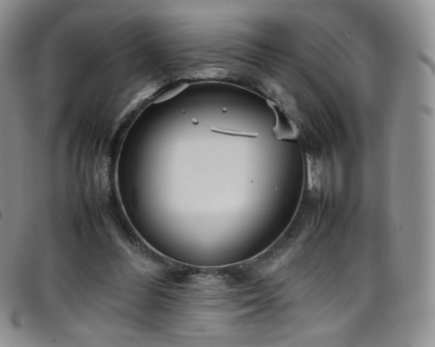 X0000099230300200804241458