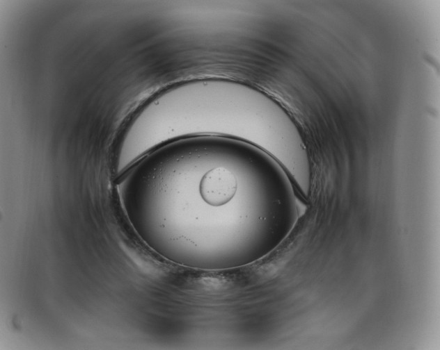 X0000099230302200804241458