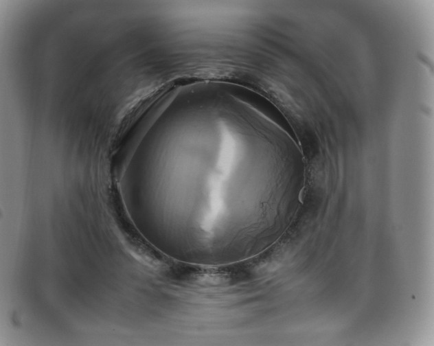 X0000099230303200804241458