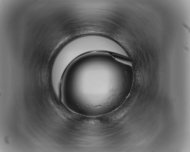 X0000099230304200804241458