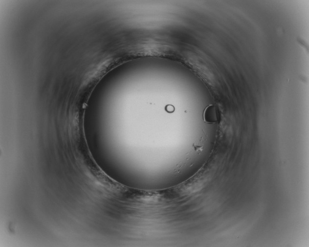 X0000099230306200804241458