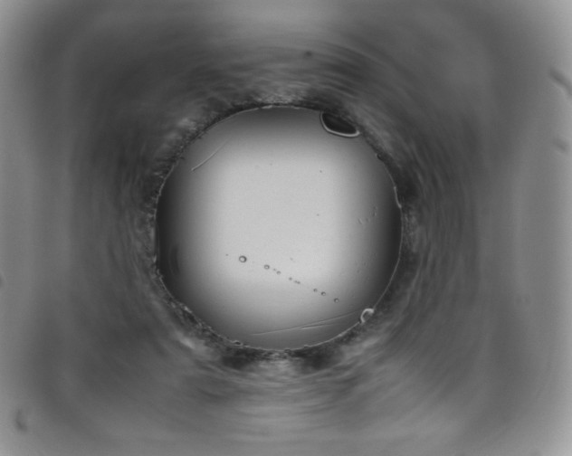 X0000099230307200804241458