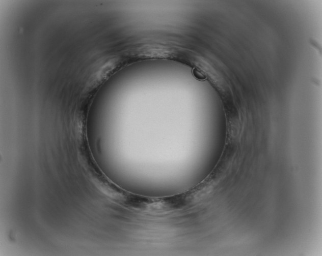 X0000099230309200804241458