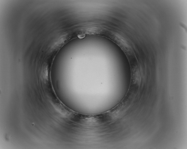 X0000099230310200804241458