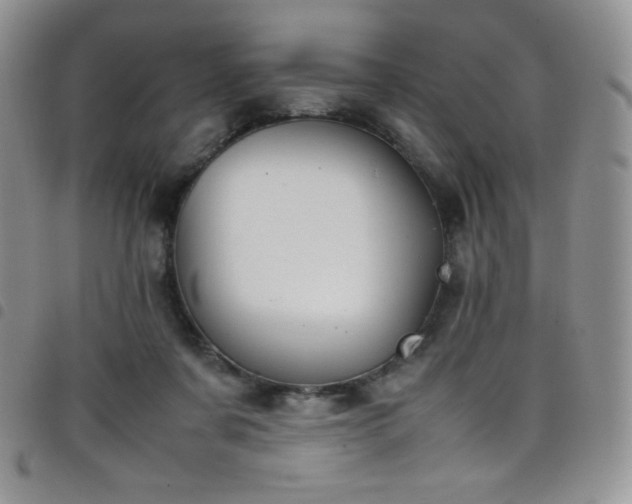 X0000099230311200804241458