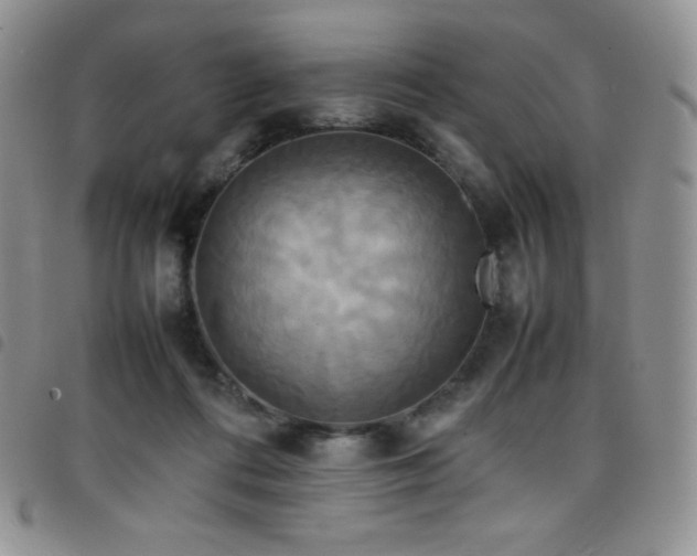 X0000099230312200804241458