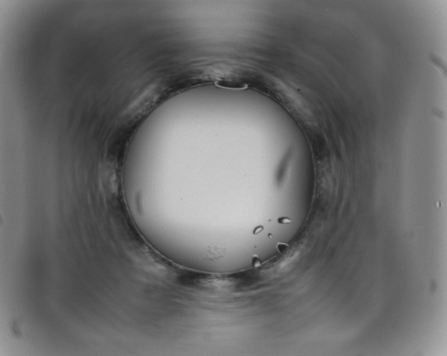 X0000099230313200804241458