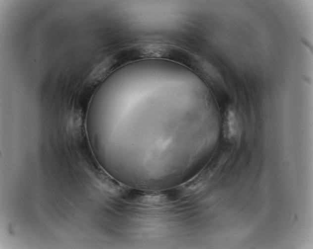 X0000099230314200804241458