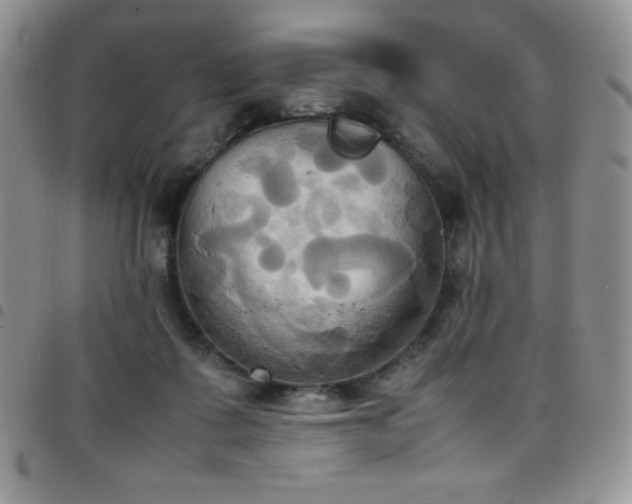 X0000099230315200804241458