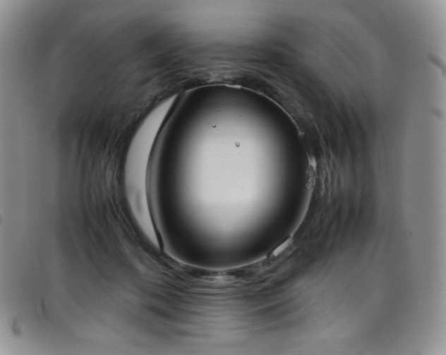 X0000099230316200804241458