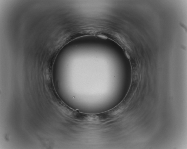 X0000099230317200804241458