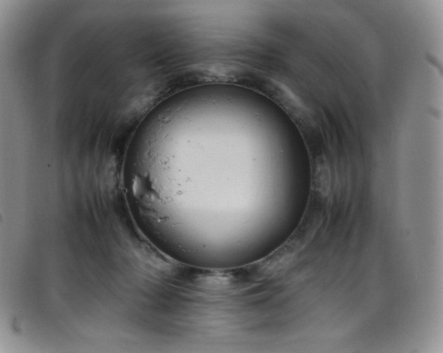 X0000099230318200804241458