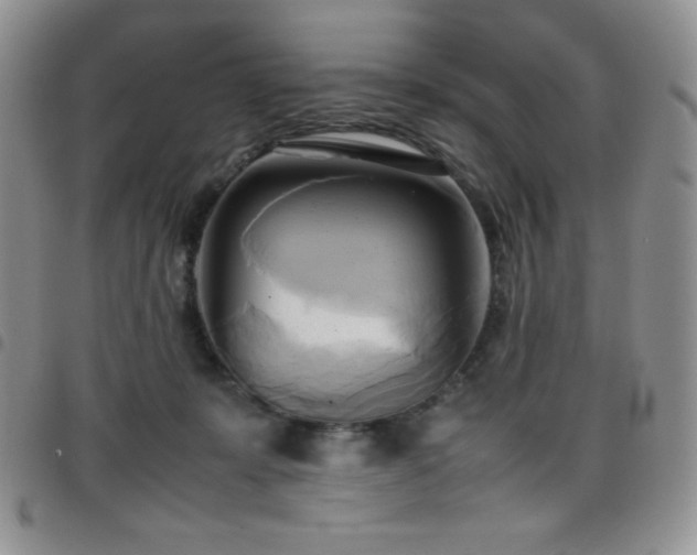 X0000099230319200804241458