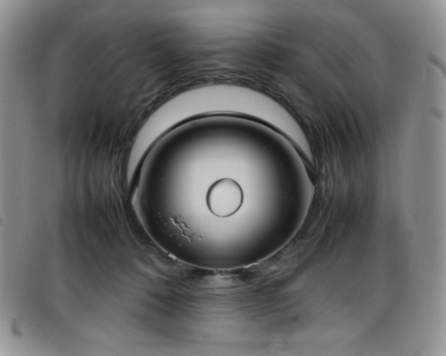 X0000099230320200804241458