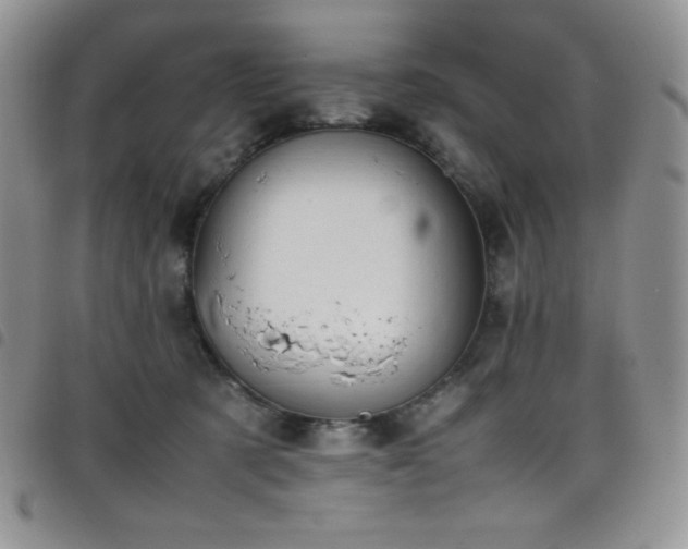 X0000099230321200804241458