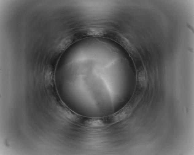 X0000099230322200804241458