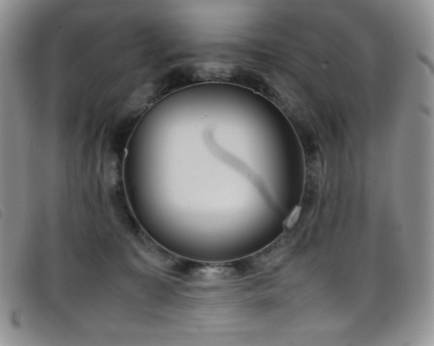 X0000099230323200804241458