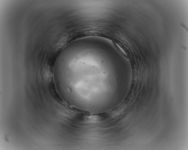 X0000099230324200804241458