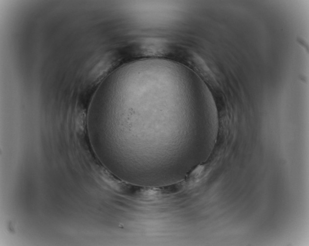 X0000099230325200804241458