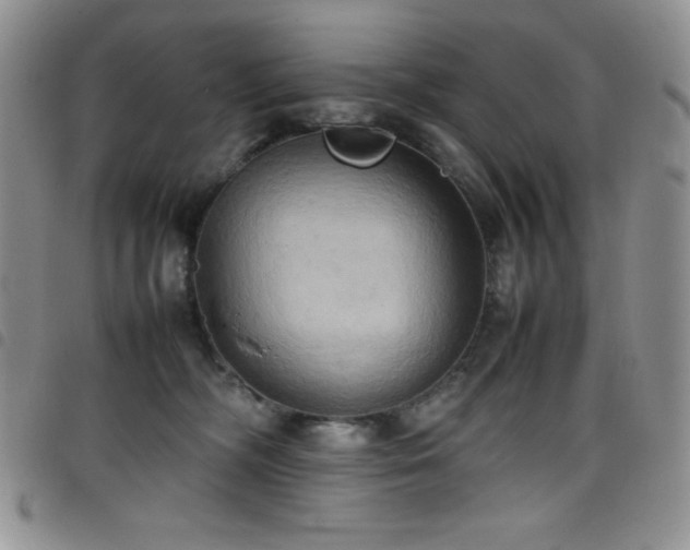 X0000099230326200804241458