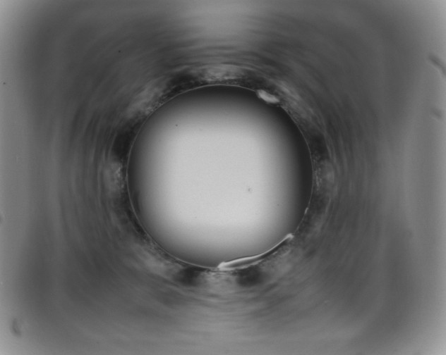 X0000099230327200804241458