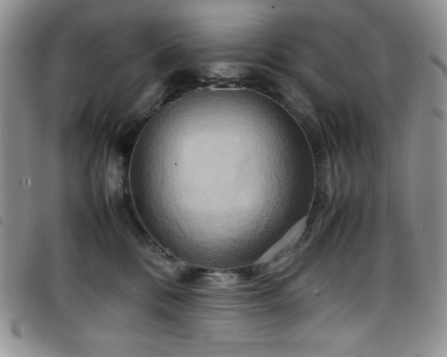 X0000099230328200804241458