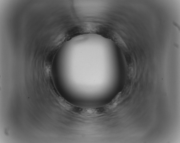 X0000099230329200804241458