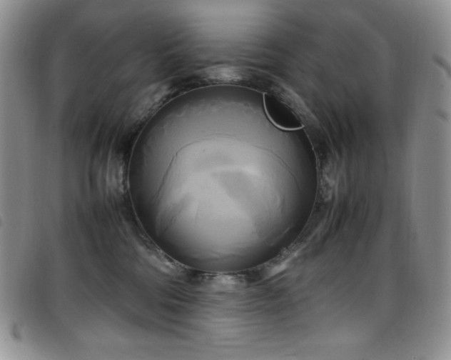 X0000099230330200804241458