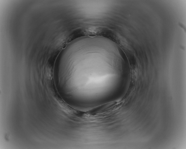 X0000099230331200804241458