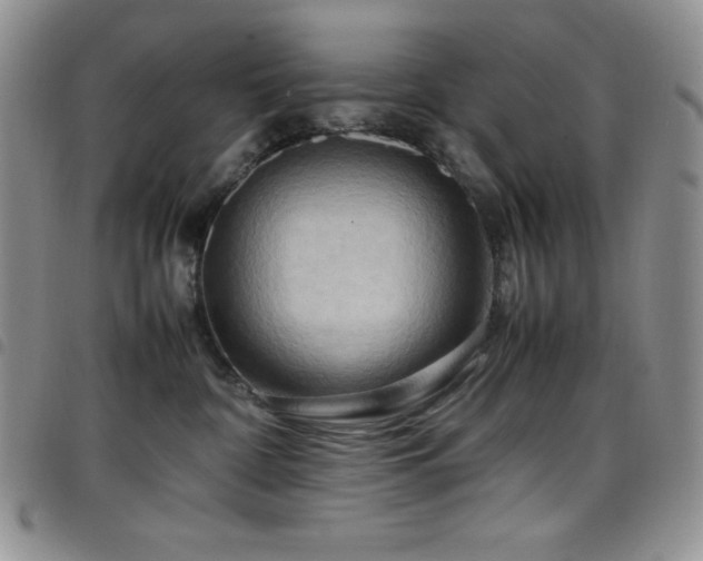 X0000099230332200804241458