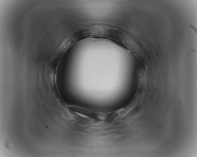 X0000099230333200804241458