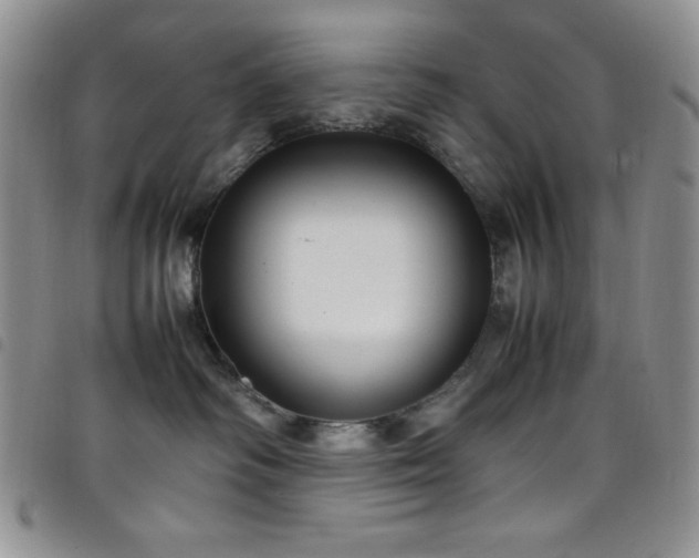 X0000099230334200804241458