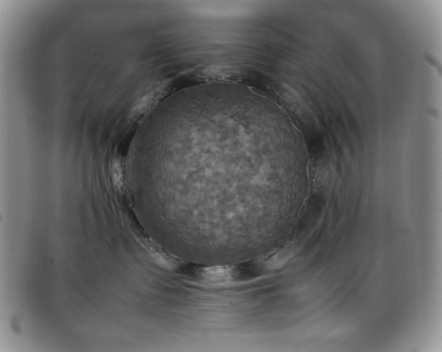 X0000099230335200804241458