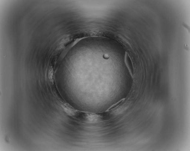 X0000099230336200804241458