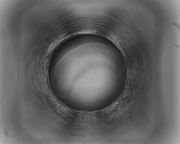 X0000099230337200804241457