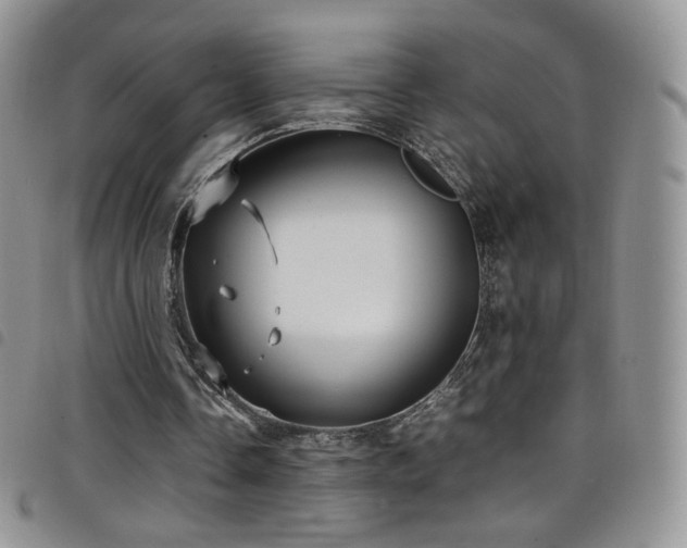 X0000099230338200804241457