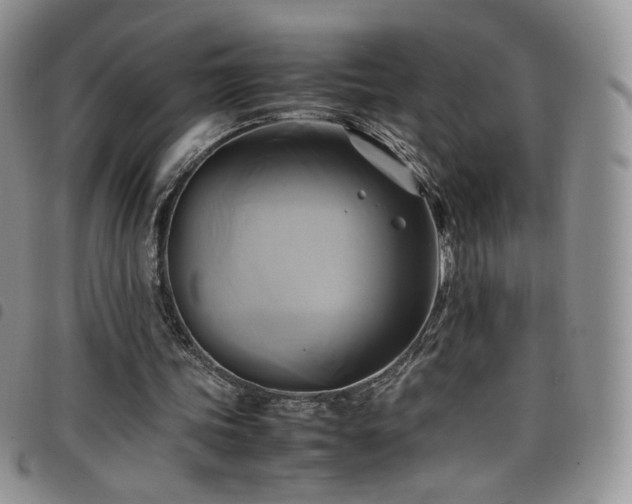 X0000099230339200804241457