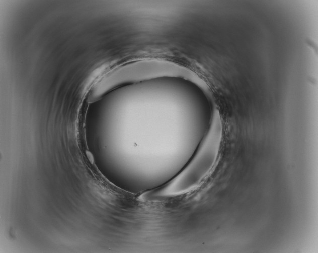 X0000099230340200804241457