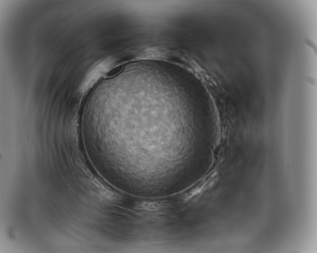 X0000099230341200804241457